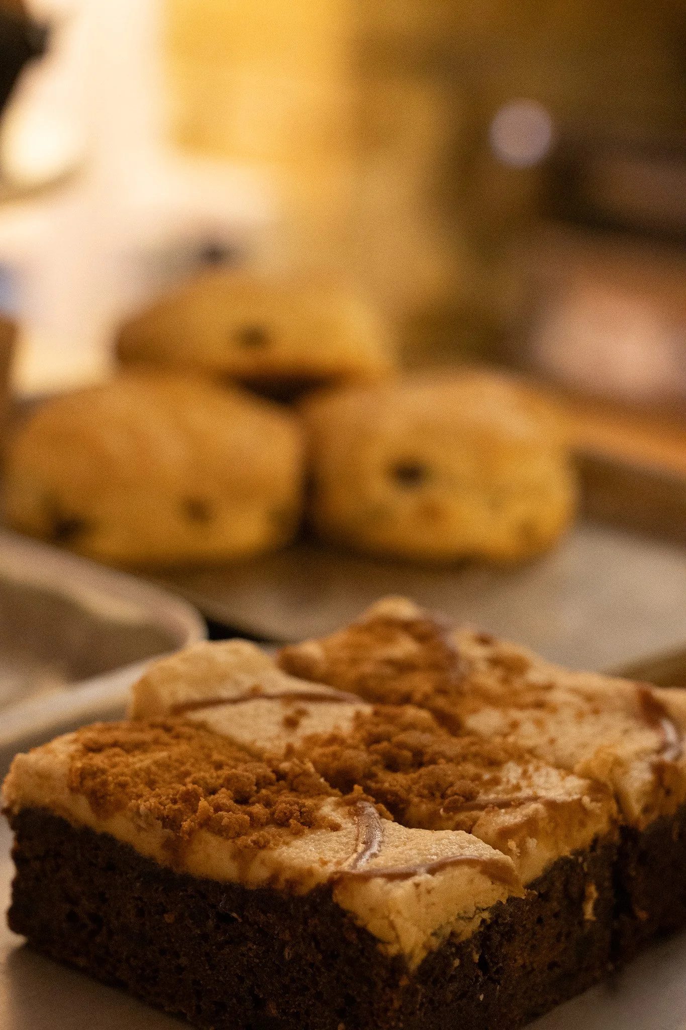 Close-up of assorted cookies on a plate, including chocolate chip and oatmeal cookies. The New England Coffee House.