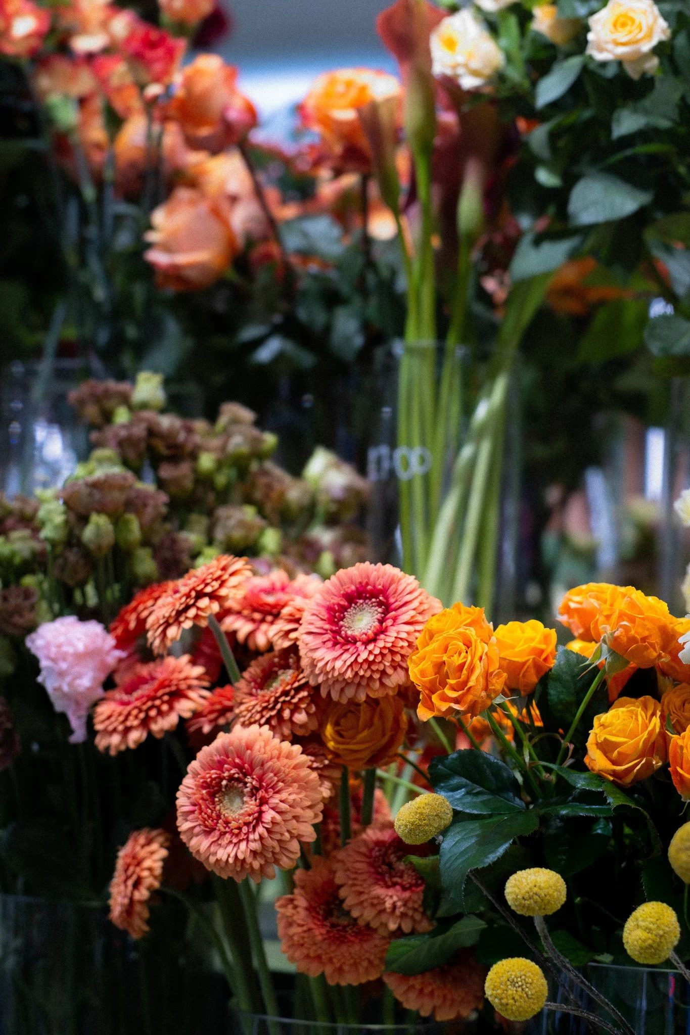 A display of various colorful flowers, including orange roses, pink, and peach flowers, with green leaves and stems. Neill Strain, Harrods, Motcomb Street.