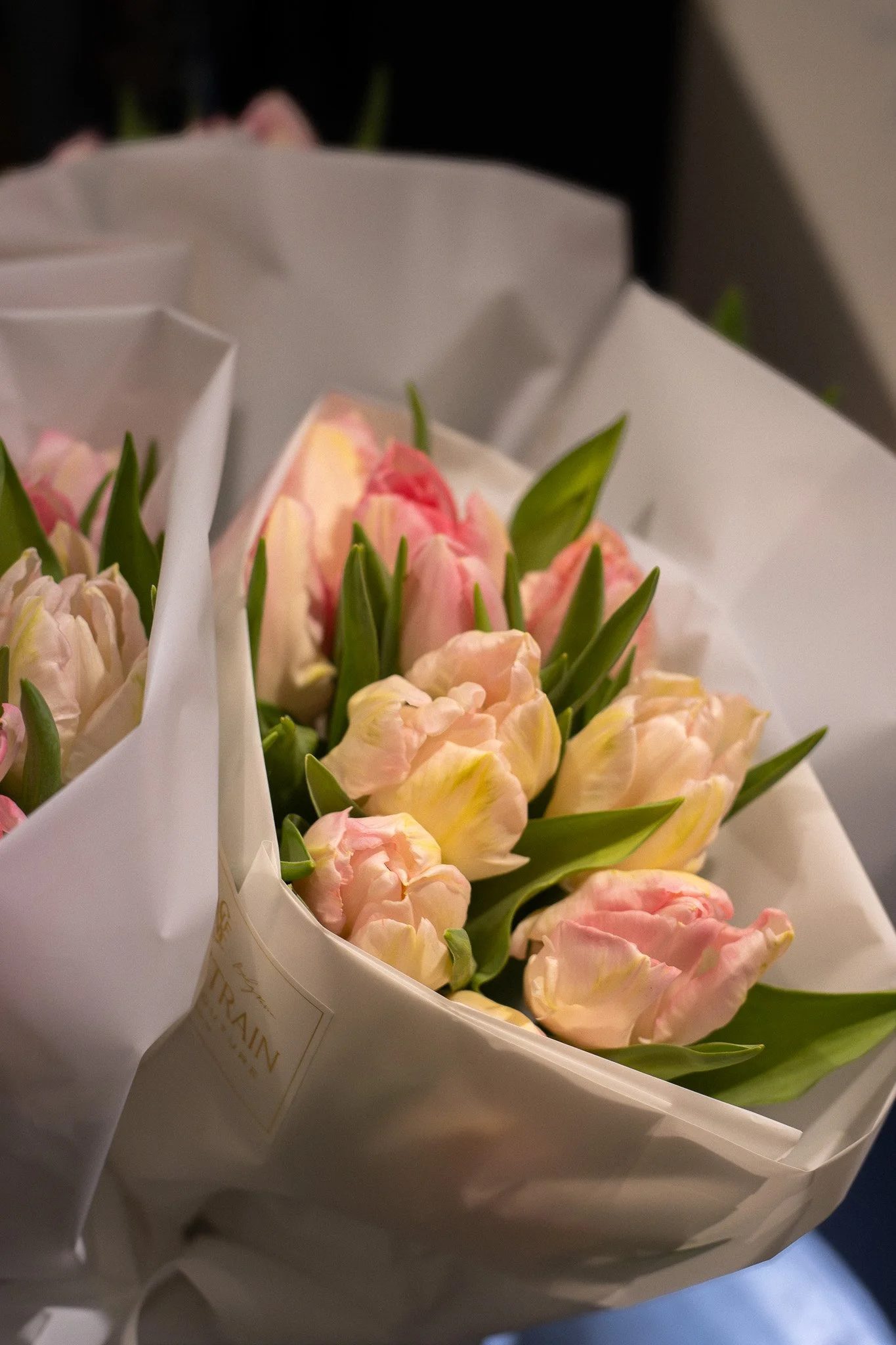 A bouquet of pale pink and cream tulips wrapped in white paper. Neill Strain, Harrods, Motcomb Street.